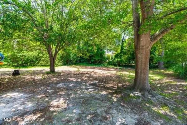 a view of outdoor space and yard