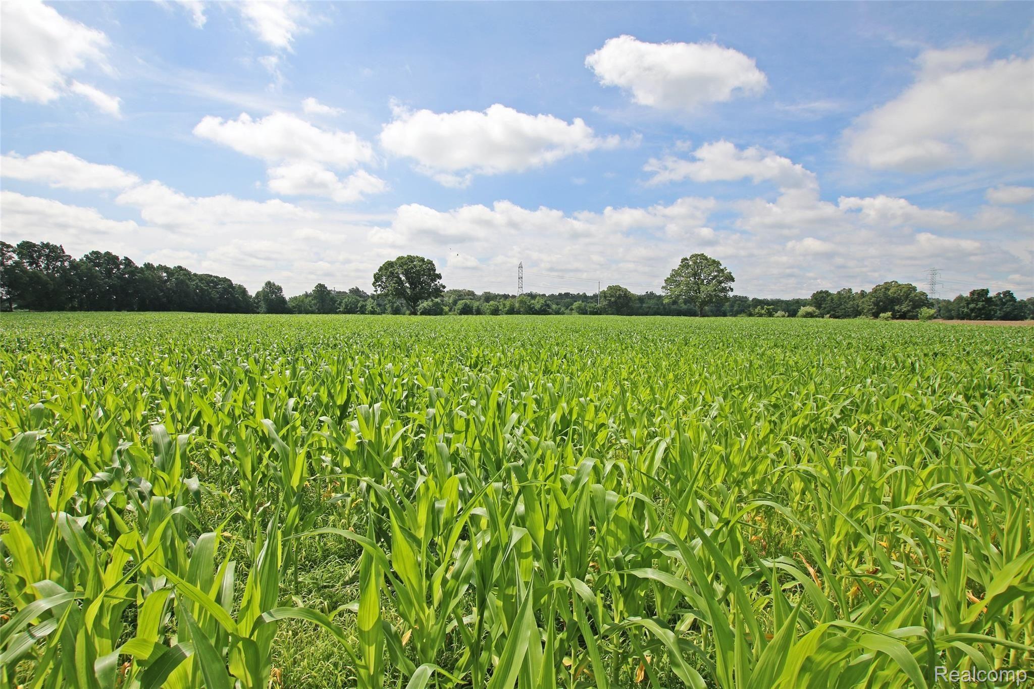 4223 Merwin Road Lapeer, MI 48446 - Photo 76 of 83 75) Field.jpg
