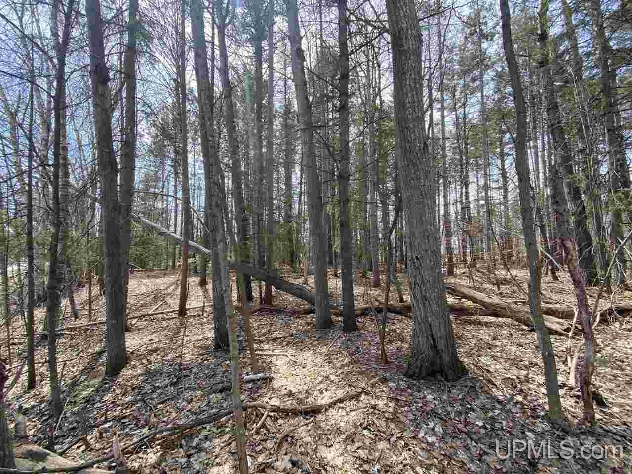 Tbd Cord 440 Road Manistique, MI 49854 - Photo 8 of 8