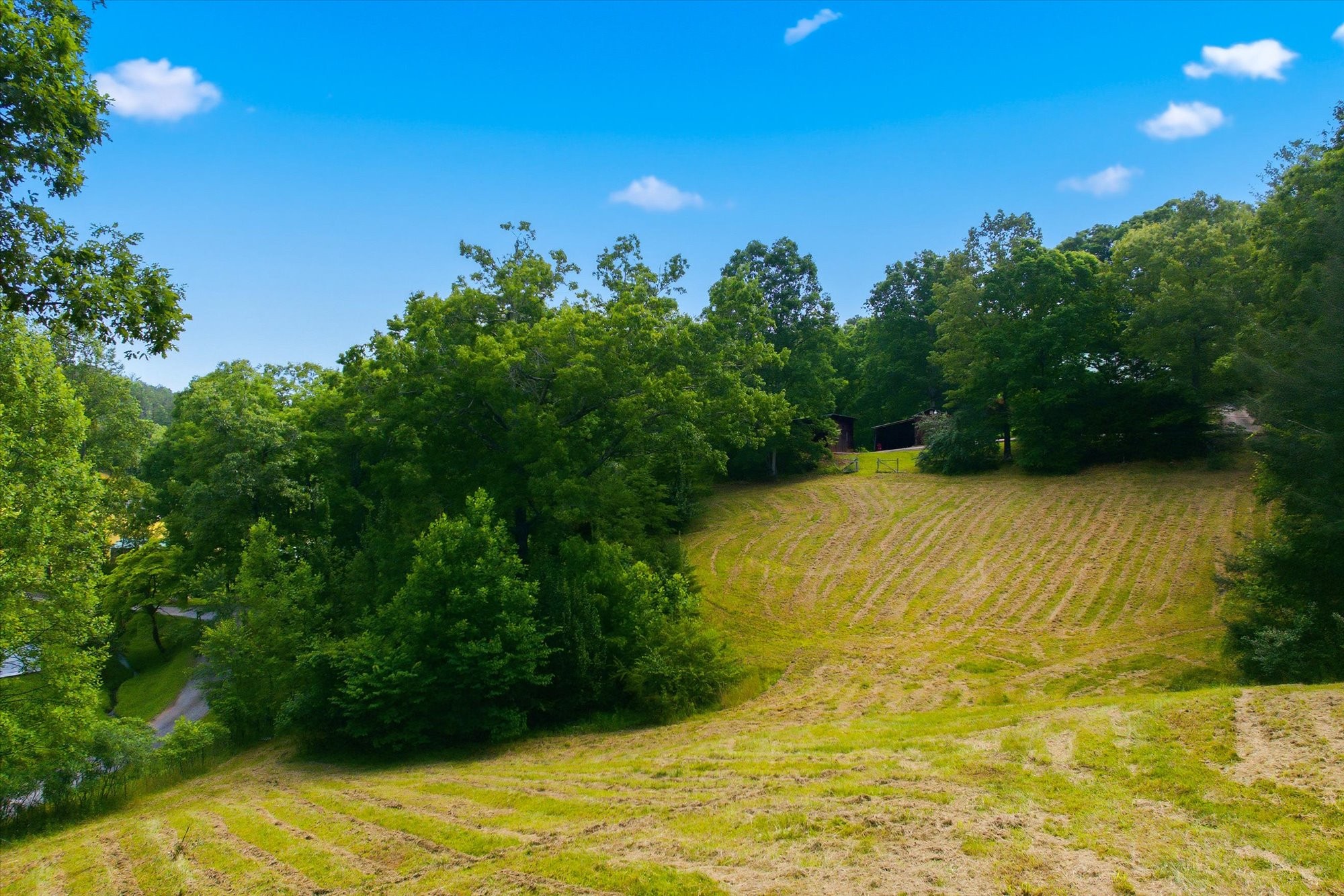 170 Mt Harmony Road Copperhill, TN 37317 - Photo 38 of 50