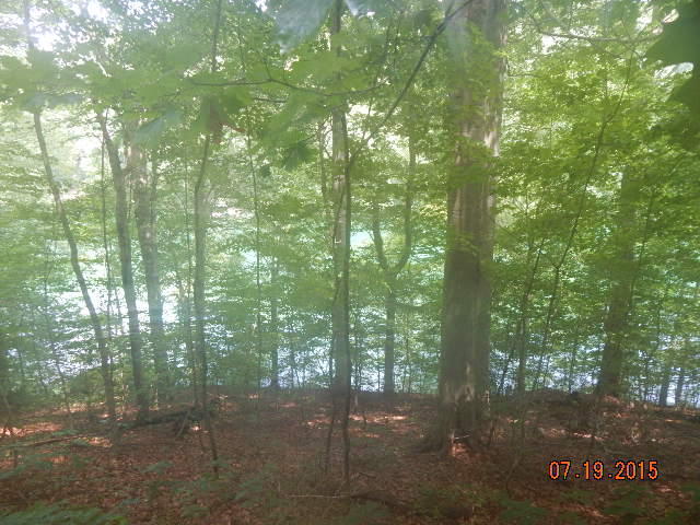 44 Jessee Road Maynardville, TN 37807 - Photo 3 of 4 jessee road pic 3