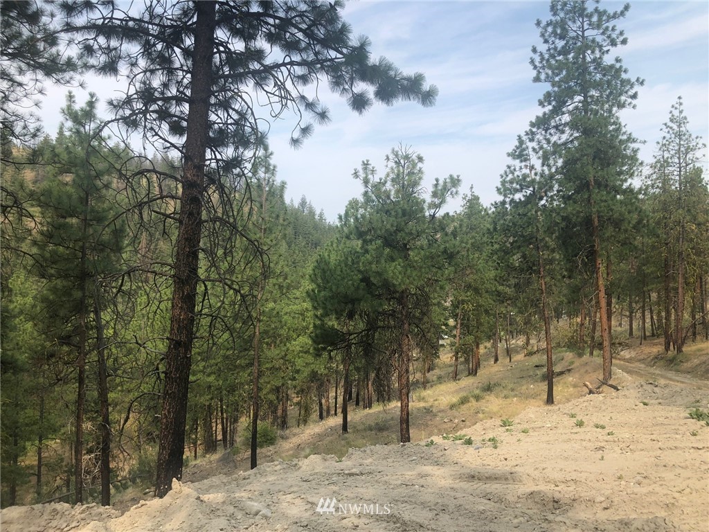 -nna Evergreen Camp Road Chelan, WA 98816 - Photo 1 of 1 Gallery Image 1