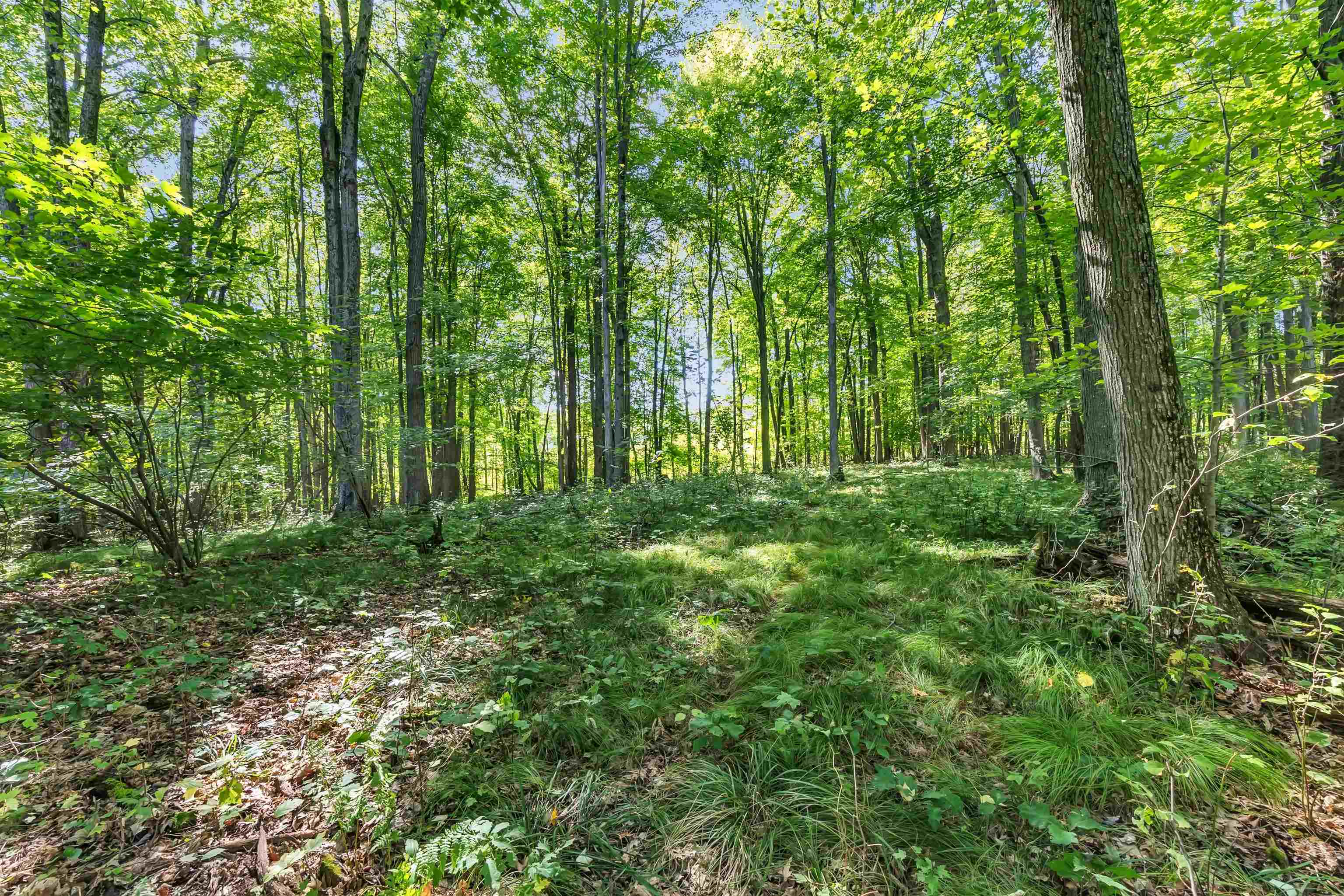 West Hill Road Iola, WI 54945 - Photo 1 of 22 Gallery Image 1