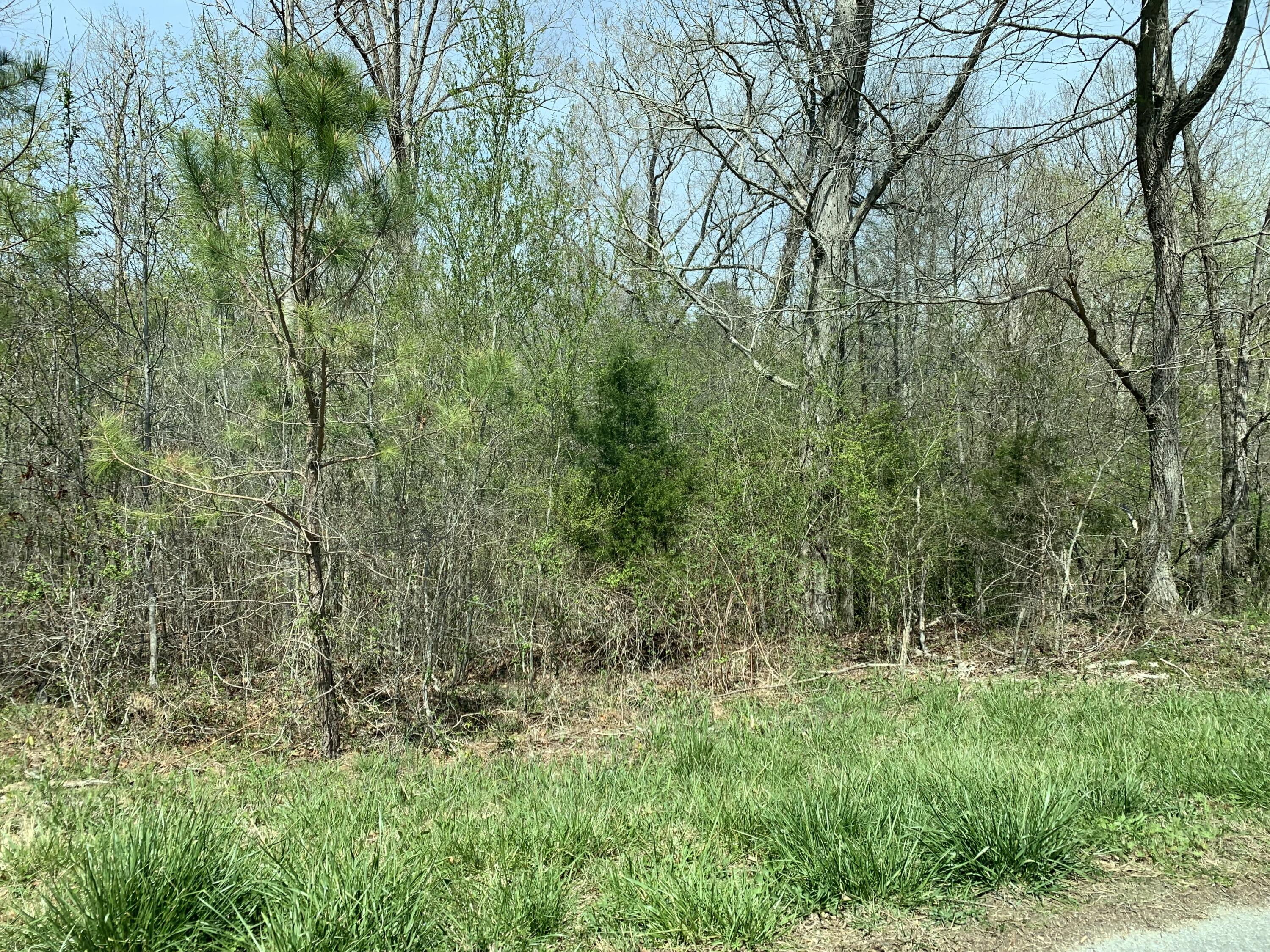 0 Evans Road Summerville, GA 30747 - Photo 3 of 7 409207ED-9F6F-4EAE-8D6B-BEBCB698FF1E