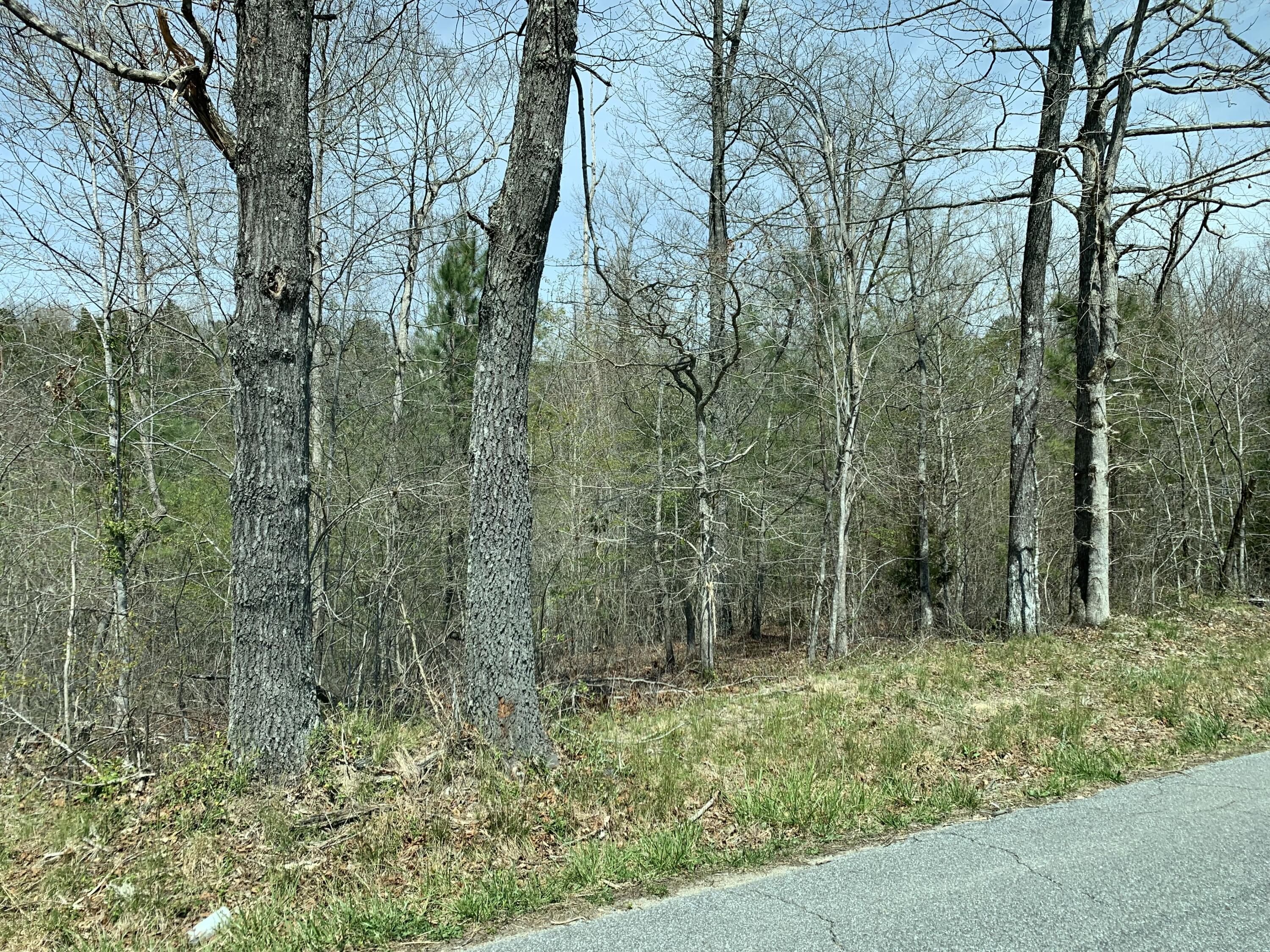 0 Evans Road Summerville, GA 30747 - Photo 4 of 7 F6375390-555B-4536-B3DB-0EDEBFA65145