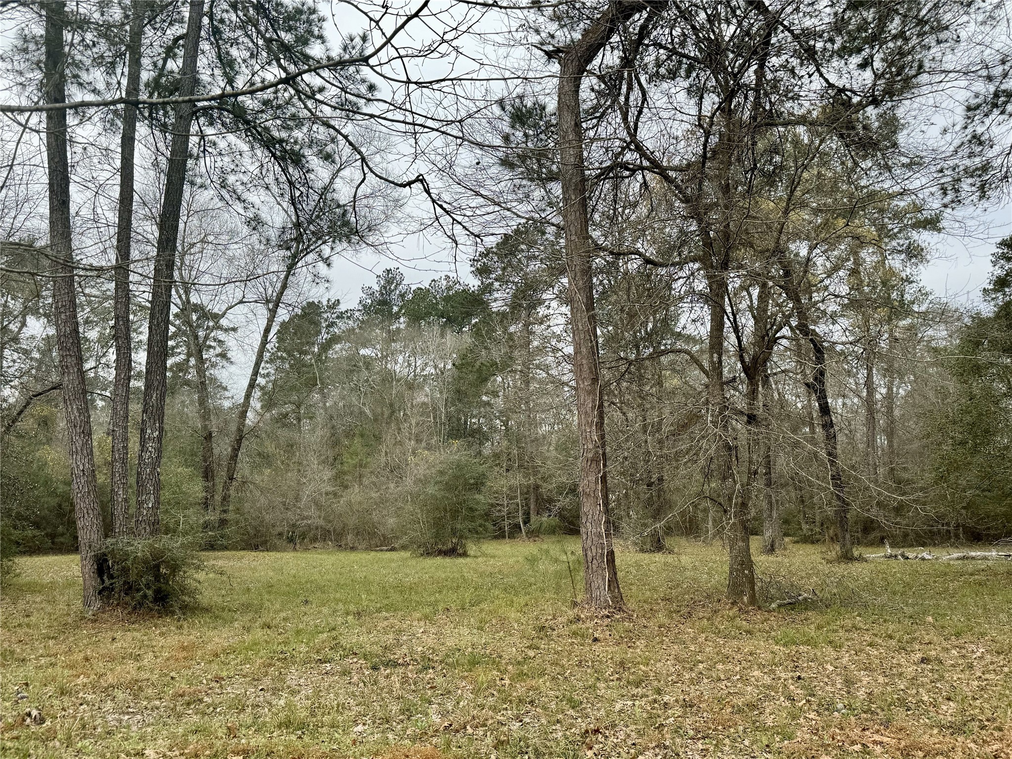 11586 Midway Road Cleveland, TX 77328 - Photo 20 of 37 a fire hydrant in the middle of a field