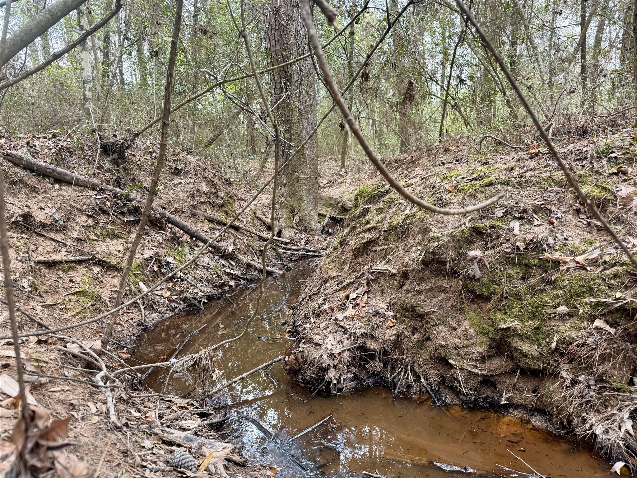 11586 Midway Road Cleveland, TX 77328 - Photo 23 of 37 a view of mountain view with large trees