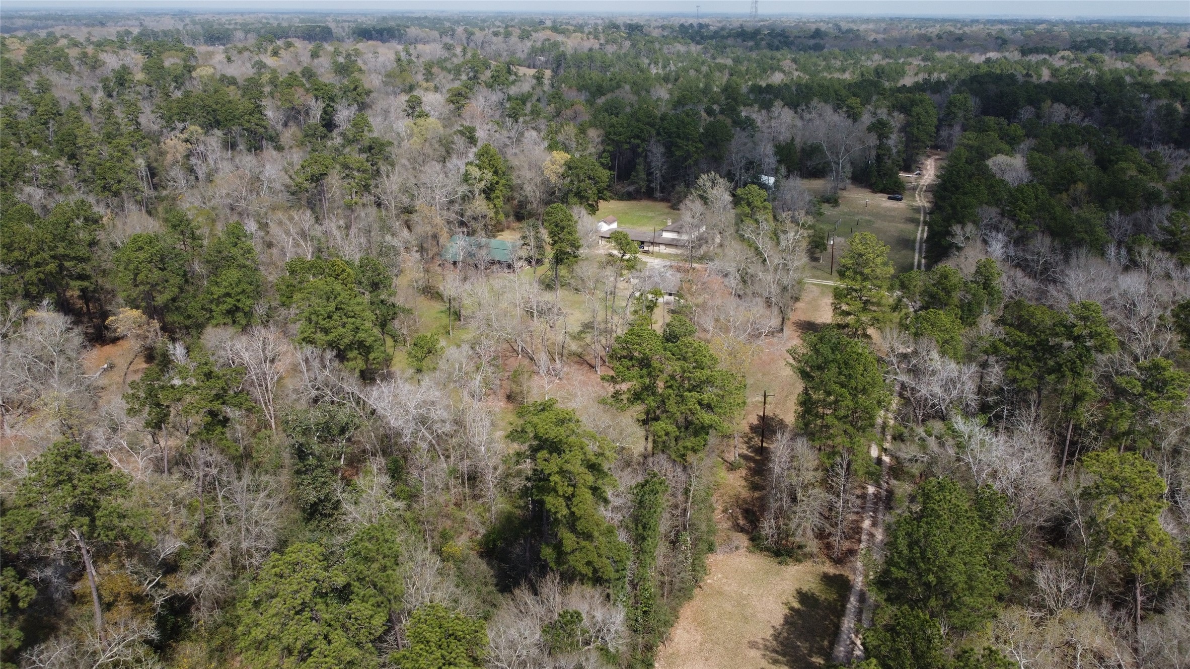 11586 Midway Road Cleveland, TX 77328 - Photo 29 of 37 a view of a forest with a forest