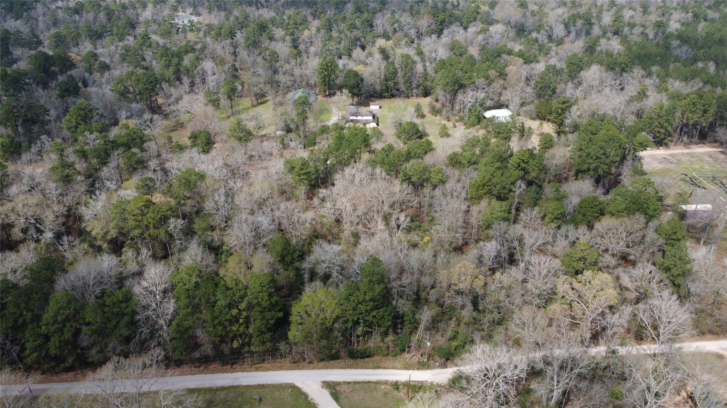11586 Midway Road Cleveland, TX 77328 - Photo 33 of 37 a view of a forest with a street