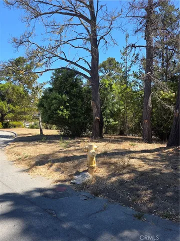 a view of a yard with a house