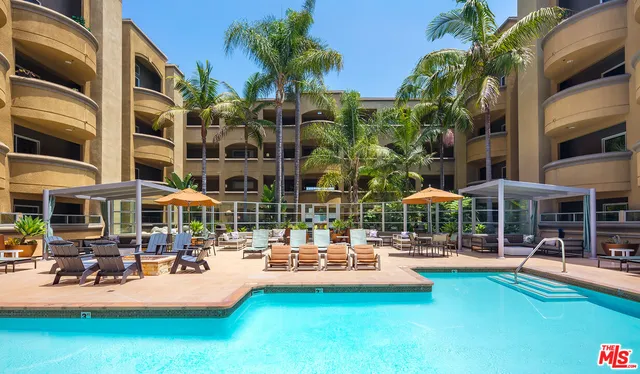 a outdoor space with lots of palm trees