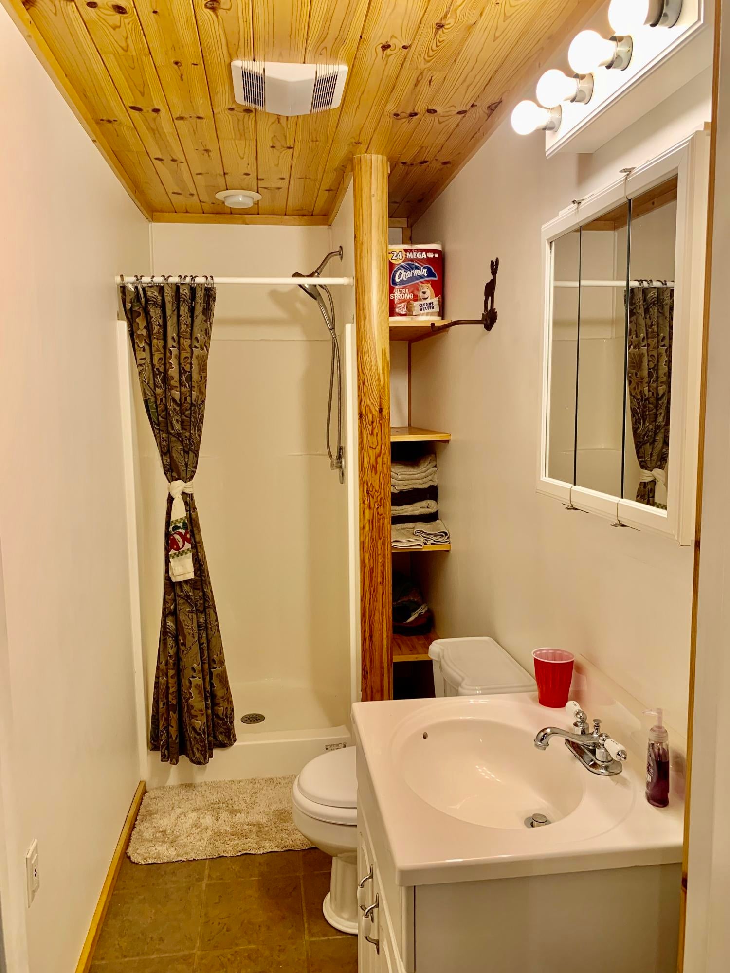 2690 Coupland Road Mio, MI 48647 - Photo 50 of 54 Gallery Image 50