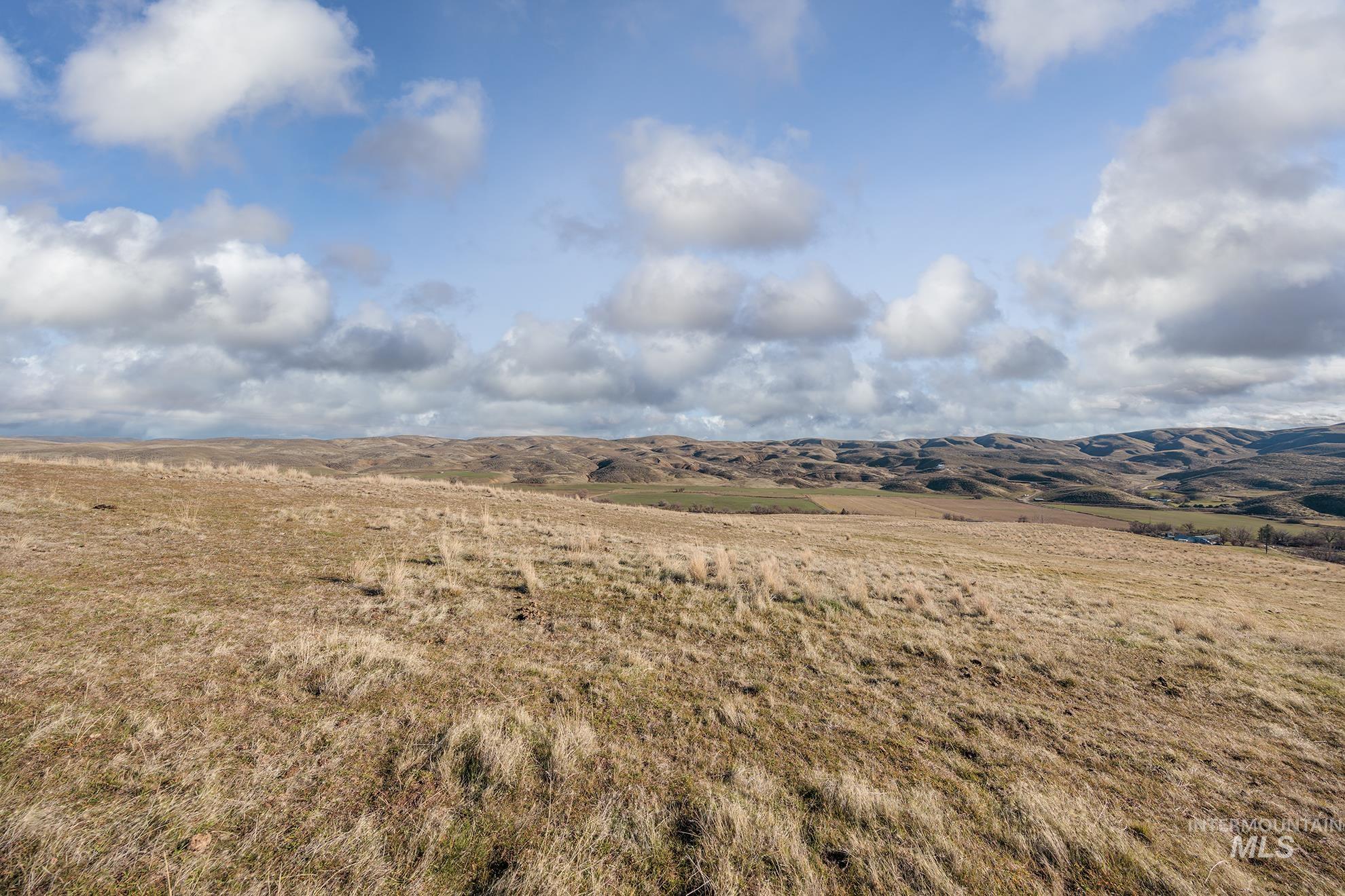 985 Highway 95 Weiser, ID 83672 - Photo 4 of 40