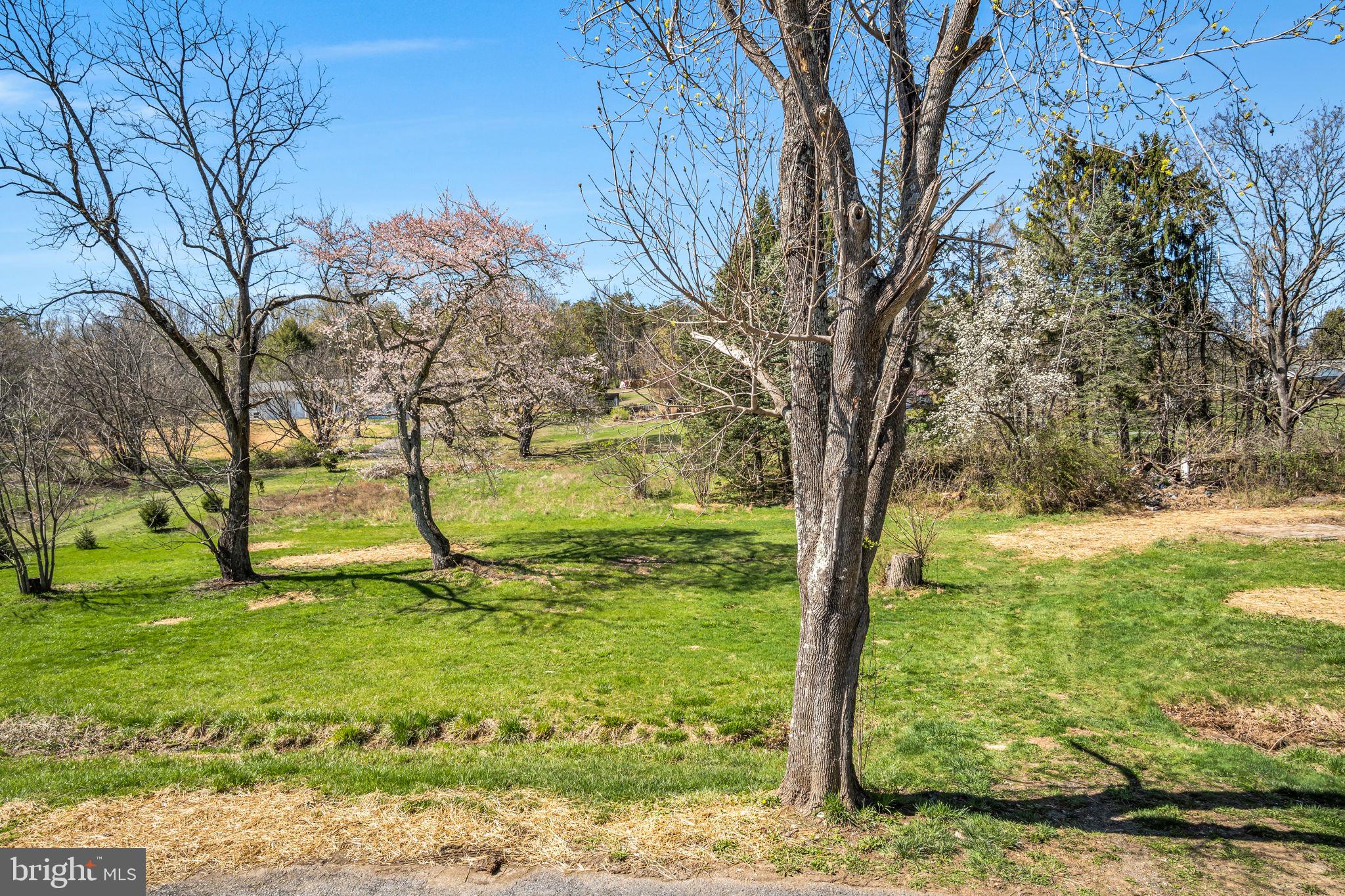 6580 Spring Road Shermans Dale, PA 17090 - Photo 30 of 37 Serene landscape with blooming trees.
