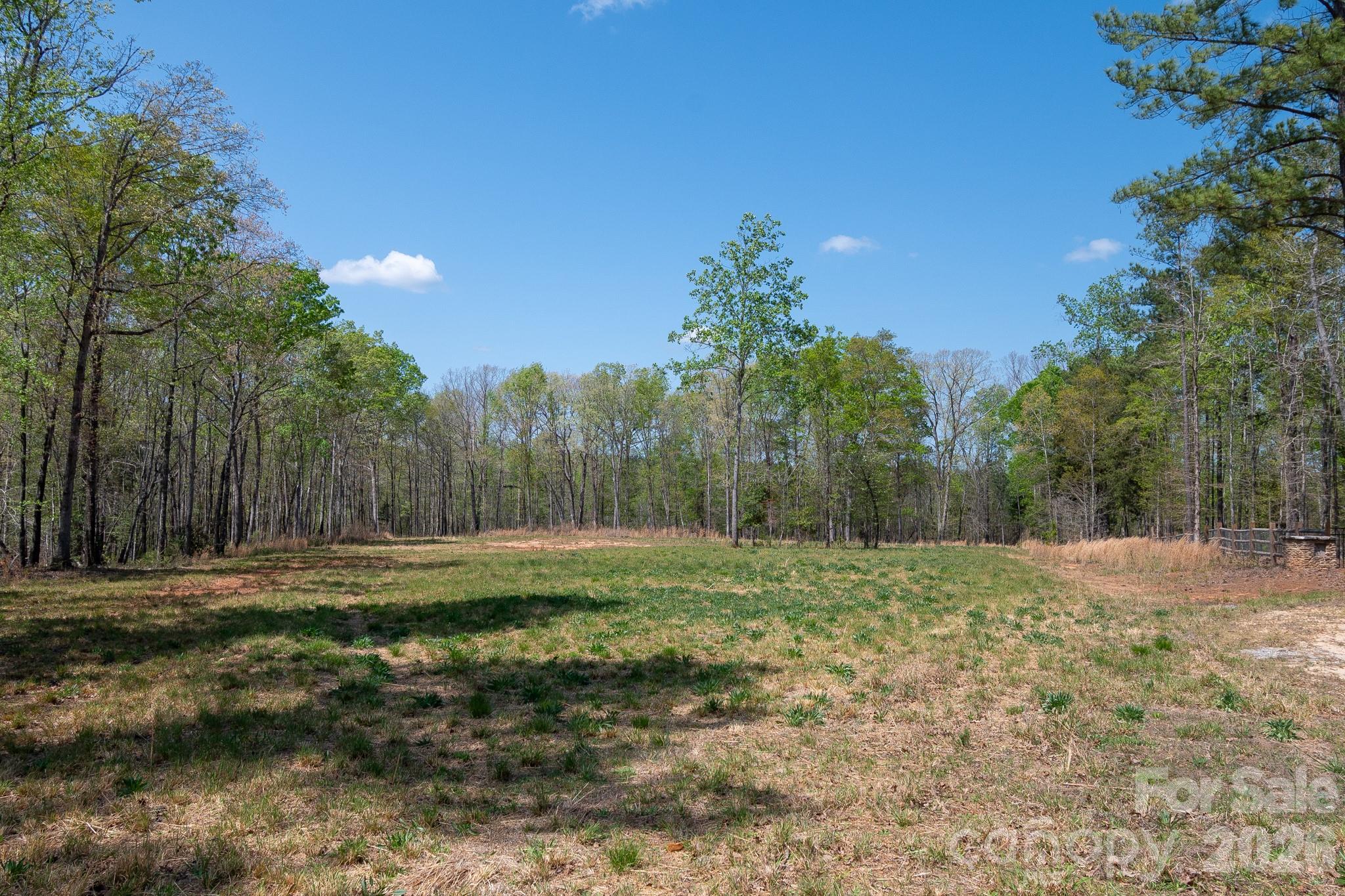 2170 Two Sisters Drive Lancaster, SC 29720 - Photo 4 of 35 a big yard with lots of green space and trees