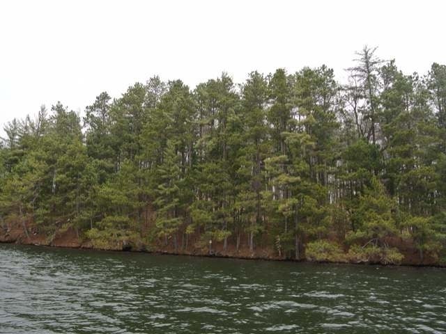 Lot 2 Big Ripley Island Minocqua, WI 54548 - Photo 16 of 19 Gallery Image 16
