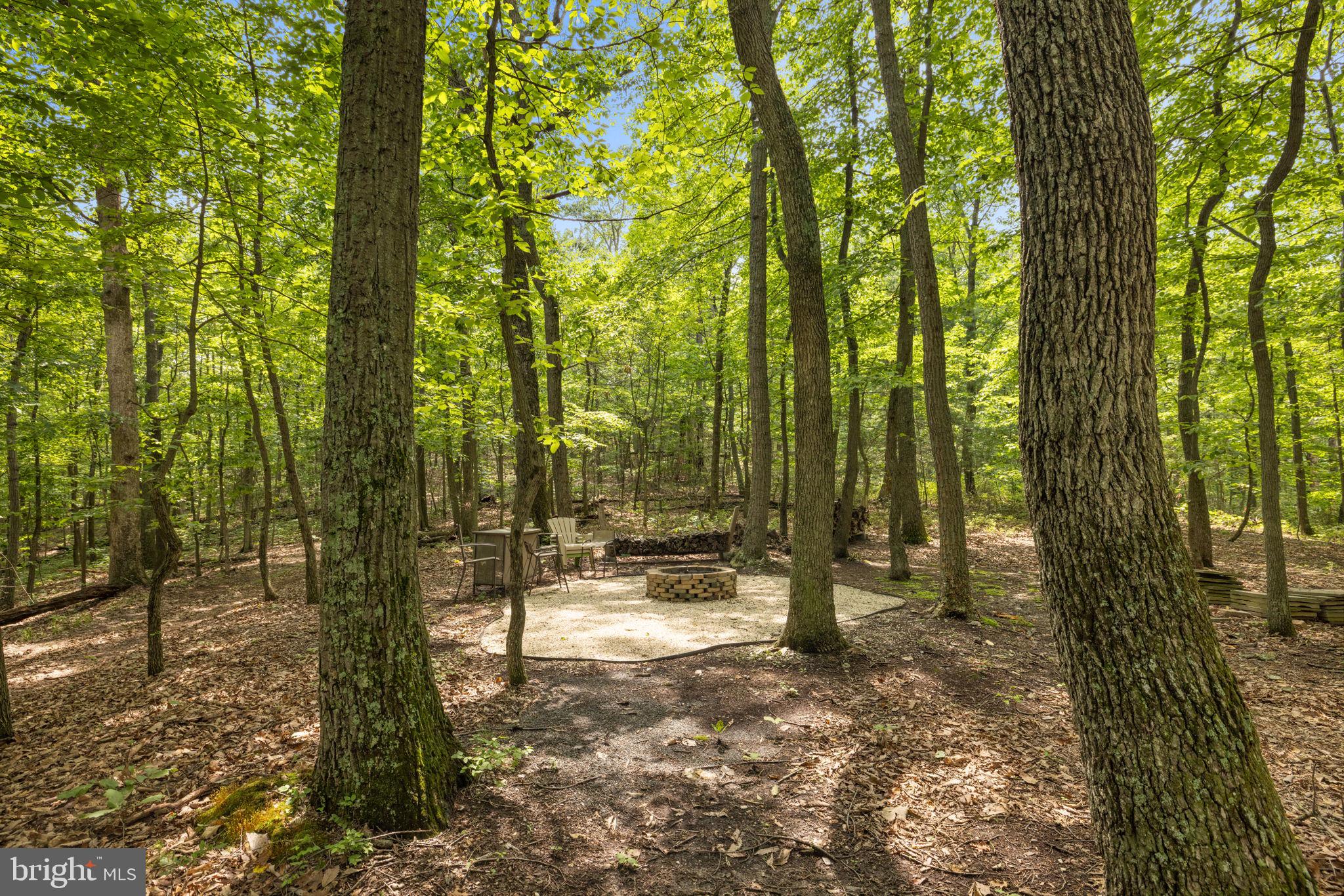 39368 Longhill Lane Aldie, VA 20105 - Photo 25 of 96