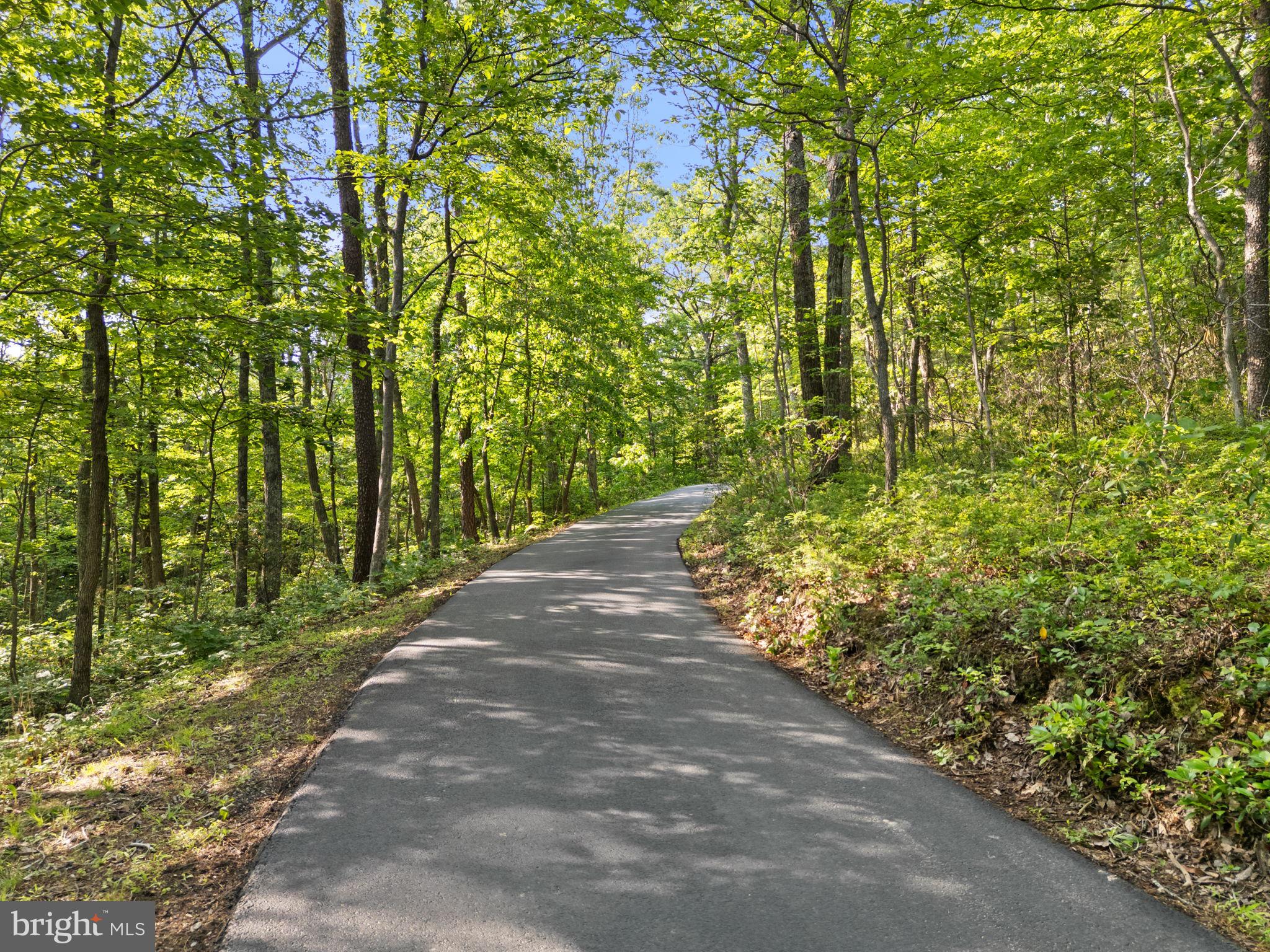 39368 Longhill Lane Aldie, VA 20105 - Photo 4 of 96