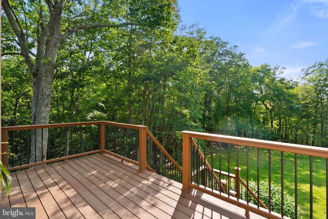 a backyard of a house with a tree