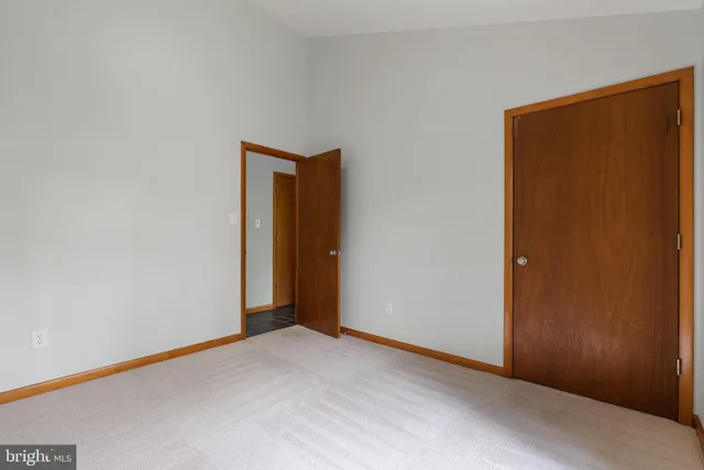 a view of a yard with potted plants and large tree