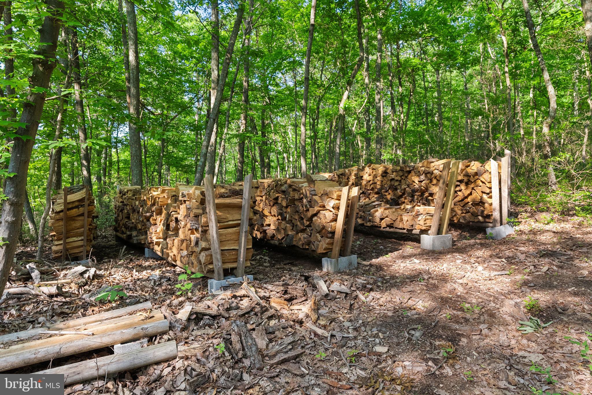 39368 Longhill Lane Aldie, VA 20105 - Photo 82 of 96