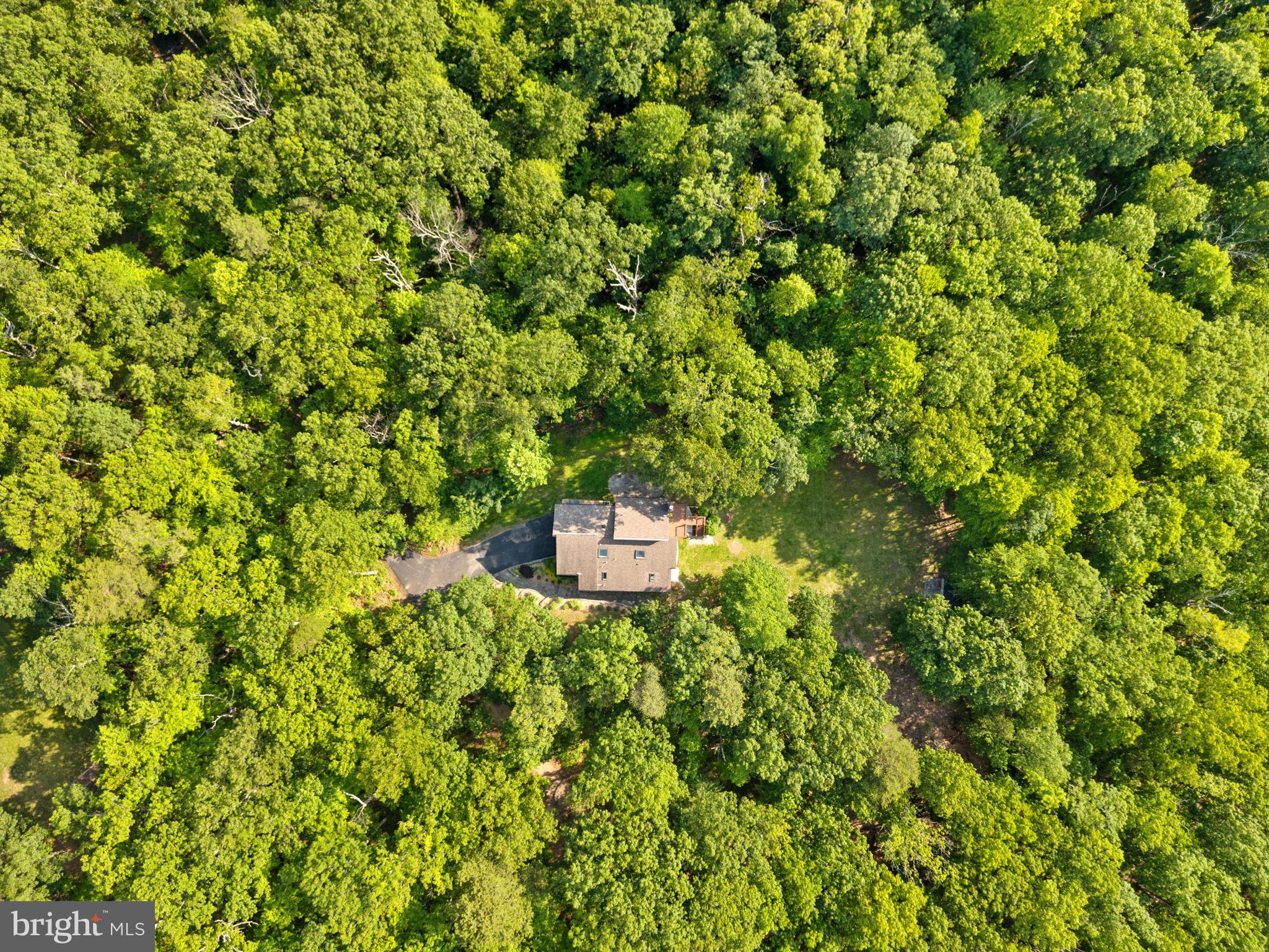 39368 Longhill Lane Aldie, VA 20105 - Photo 83 of 96