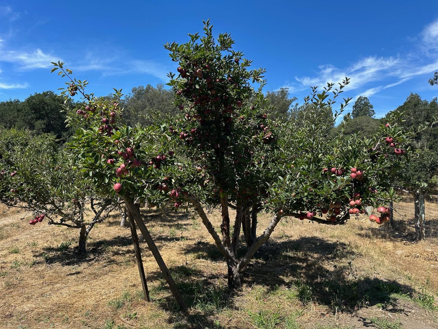 0 Sans Road Watsonville, CA 95076 - Photo 32 of 40