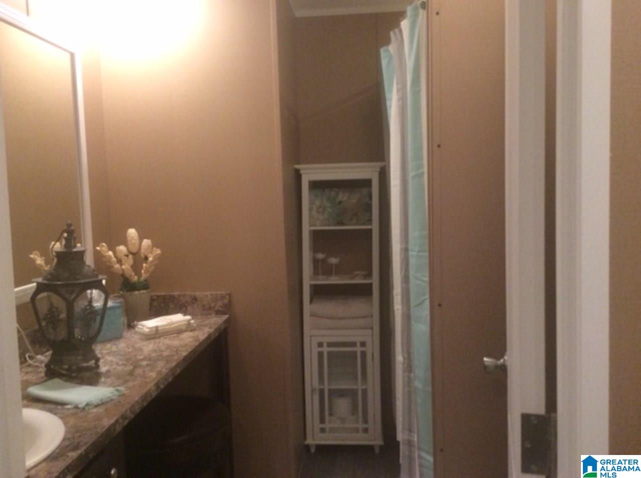 56 Nancy Drive Cropwell, AL 35054 - Photo 37 of 48