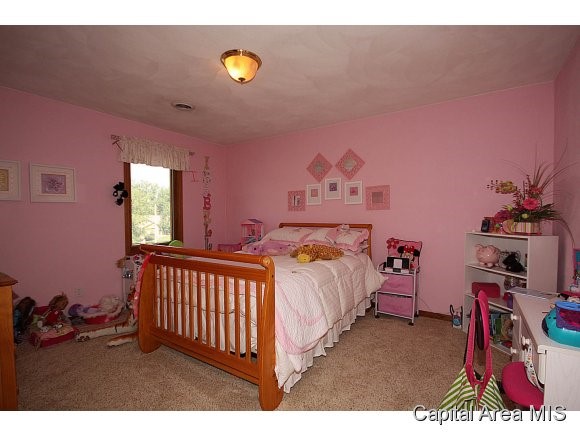 520 Missionary Ridge Drive Springfield, IL 62711 - Photo 20 of 24