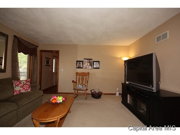 520 Missionary Ridge Drive Springfield, IL 62711 - Photo 5 of 24