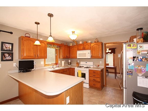520 Missionary Ridge Drive Springfield, IL 62711 - Photo 8 of 24