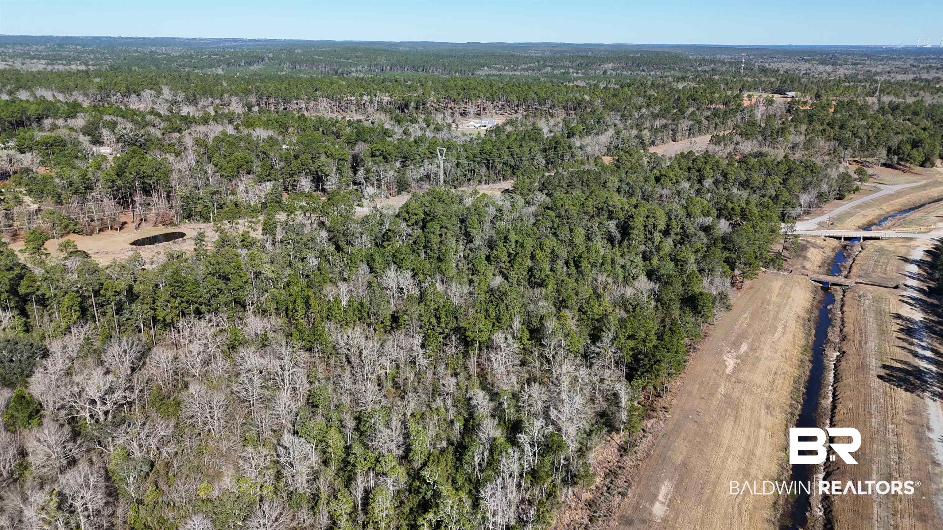 0 Radcliff Road Saraland, AL 36571 - Photo 11 of 14 View of property location featuring a forest