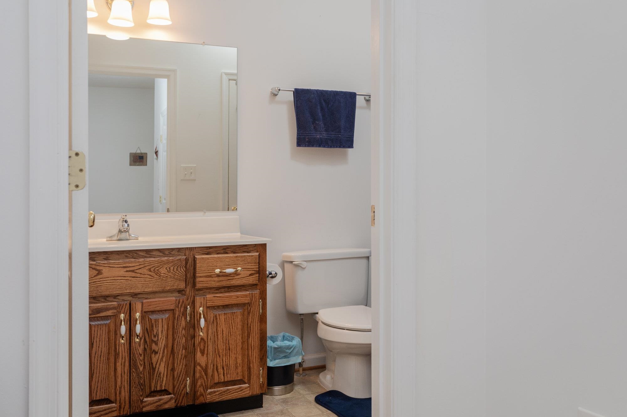 490 Leola Loop Stanley, VA 22851 - Photo 20 of 44 a bathroom with a toilet a sink and mirror