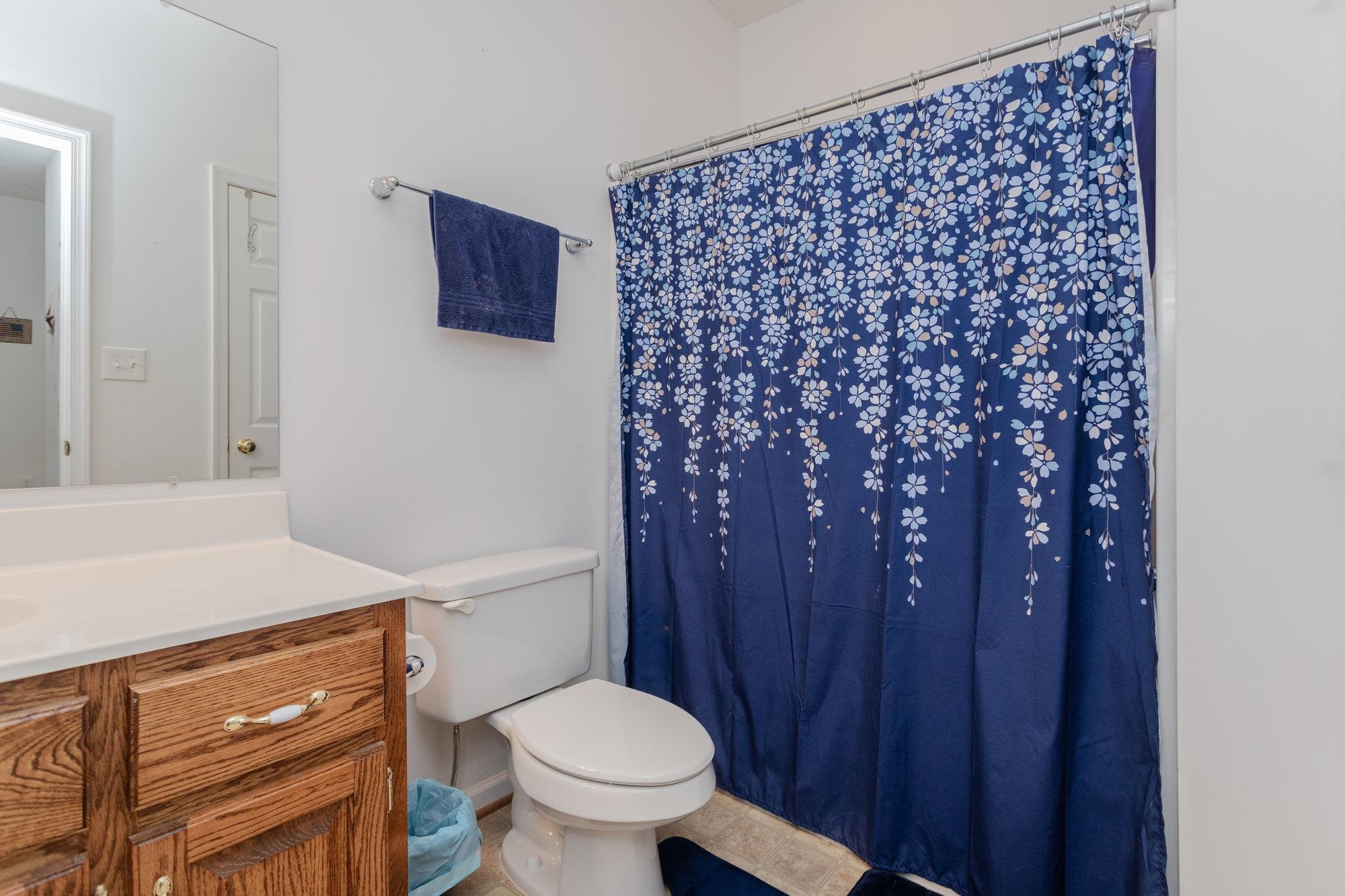 490 Leola Loop Stanley, VA 22851 - Photo 21 of 44 a bathroom with a granite countertop toilet and a sink