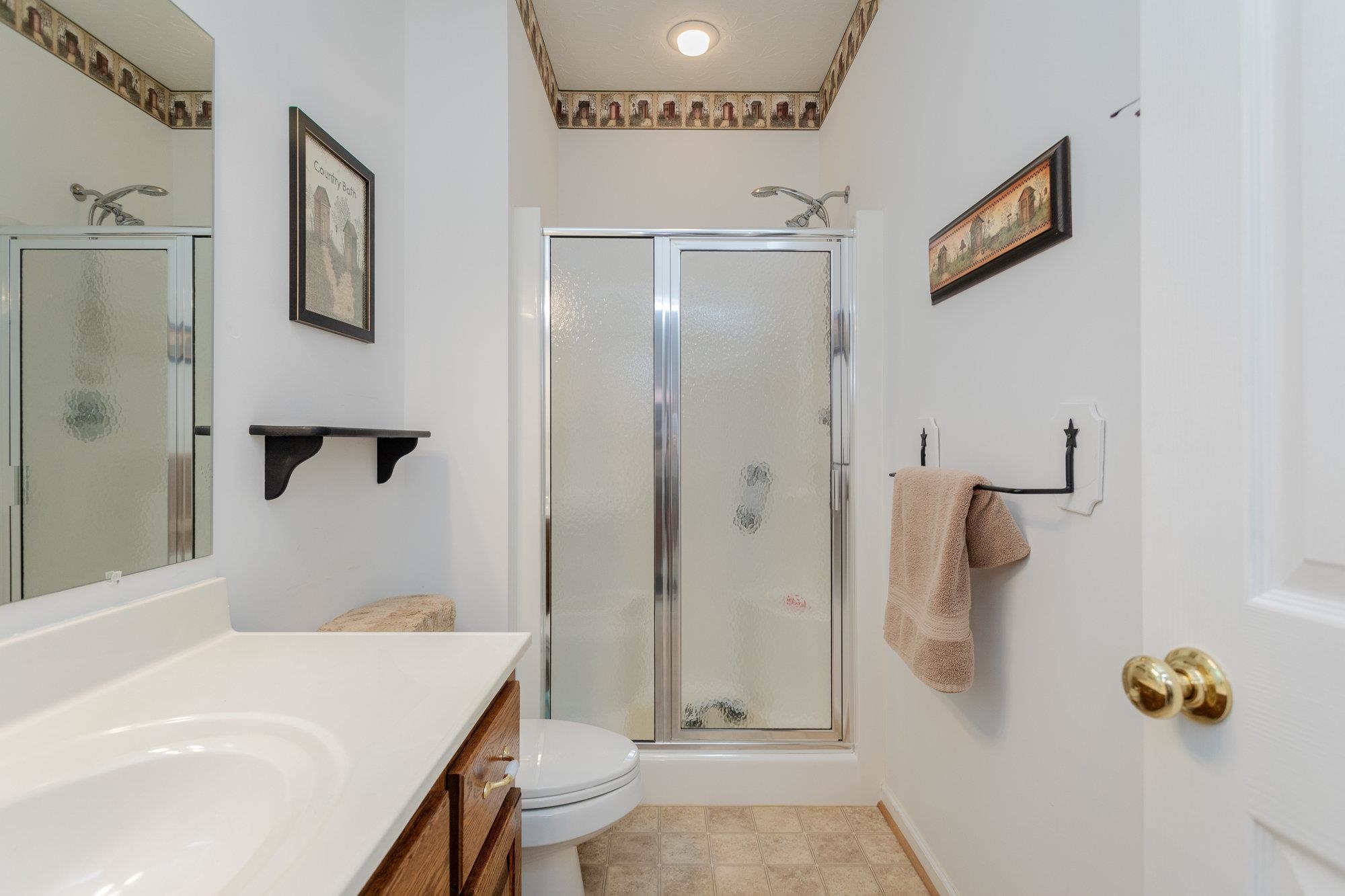 490 Leola Loop Stanley, VA 22851 - Photo 26 of 44 a bathroom with a sink a toilet and shower