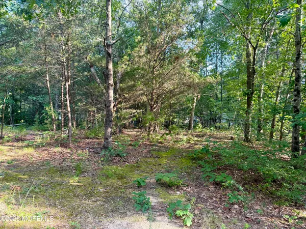 $375,000 | 0 Lakehurst Avenue, Jackson, NJ 08527