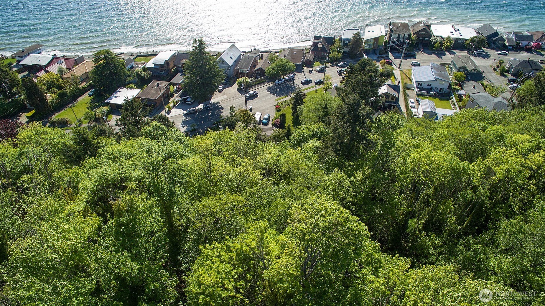 5426 Beach Drive Southwest Seattle, WA 98136 - Photo 3 of 9 a view of a city