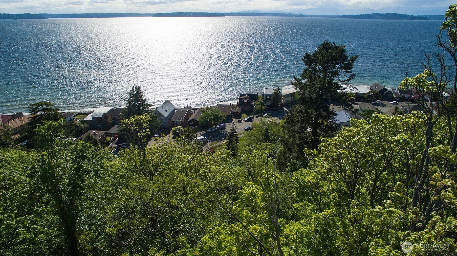 5426 Beach Drive Southwest Seattle, WA 98136 - Photo 5 of 9 a view of a lake in middle of forest