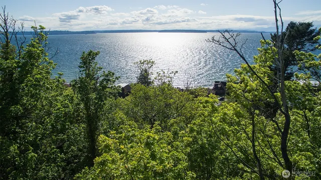 a view of a lake with a building in the background