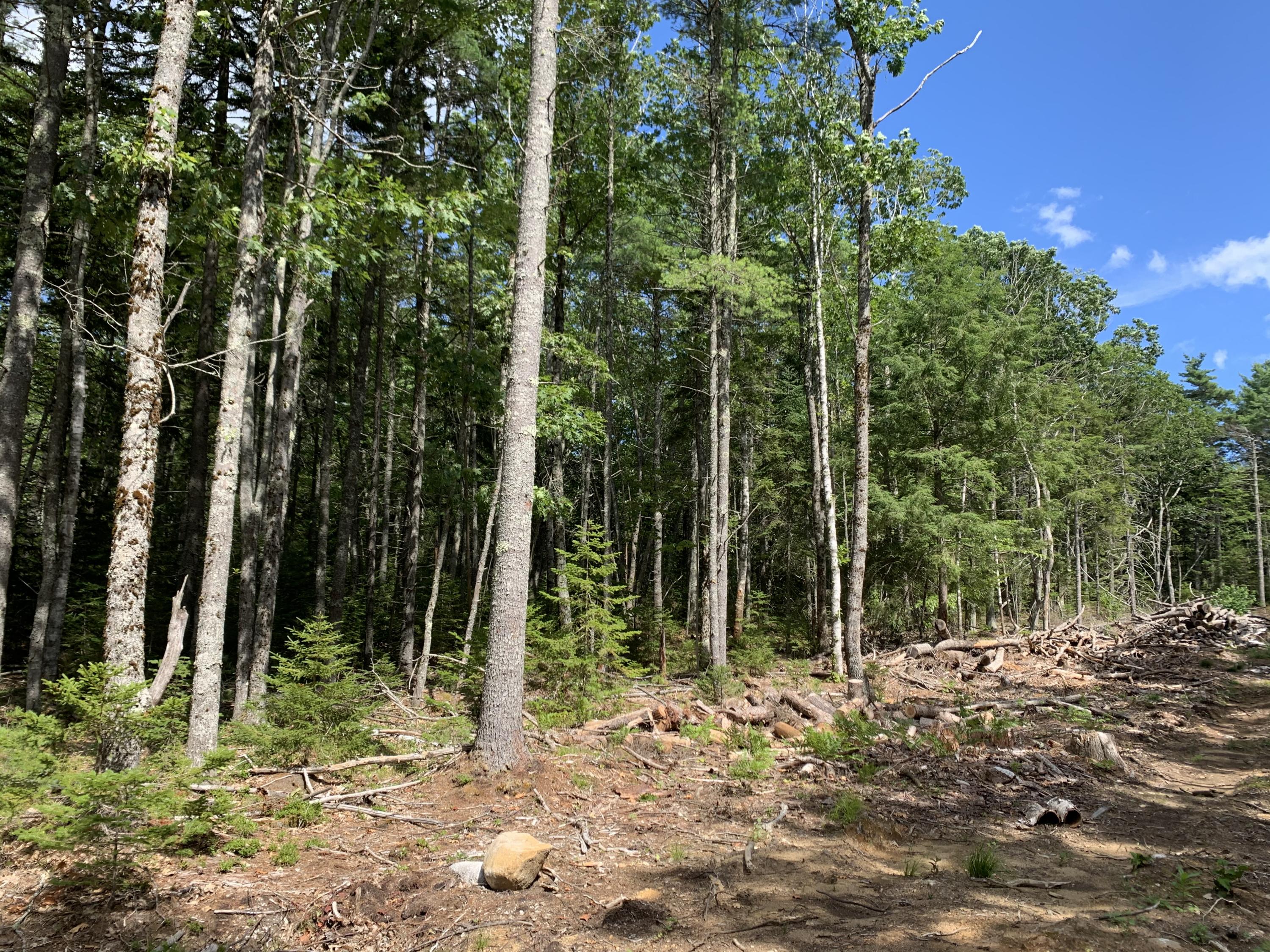 0 Blue Ridge, Unit LOT F Bristol, ME 04539 - Photo 2 of 5 Photo 2