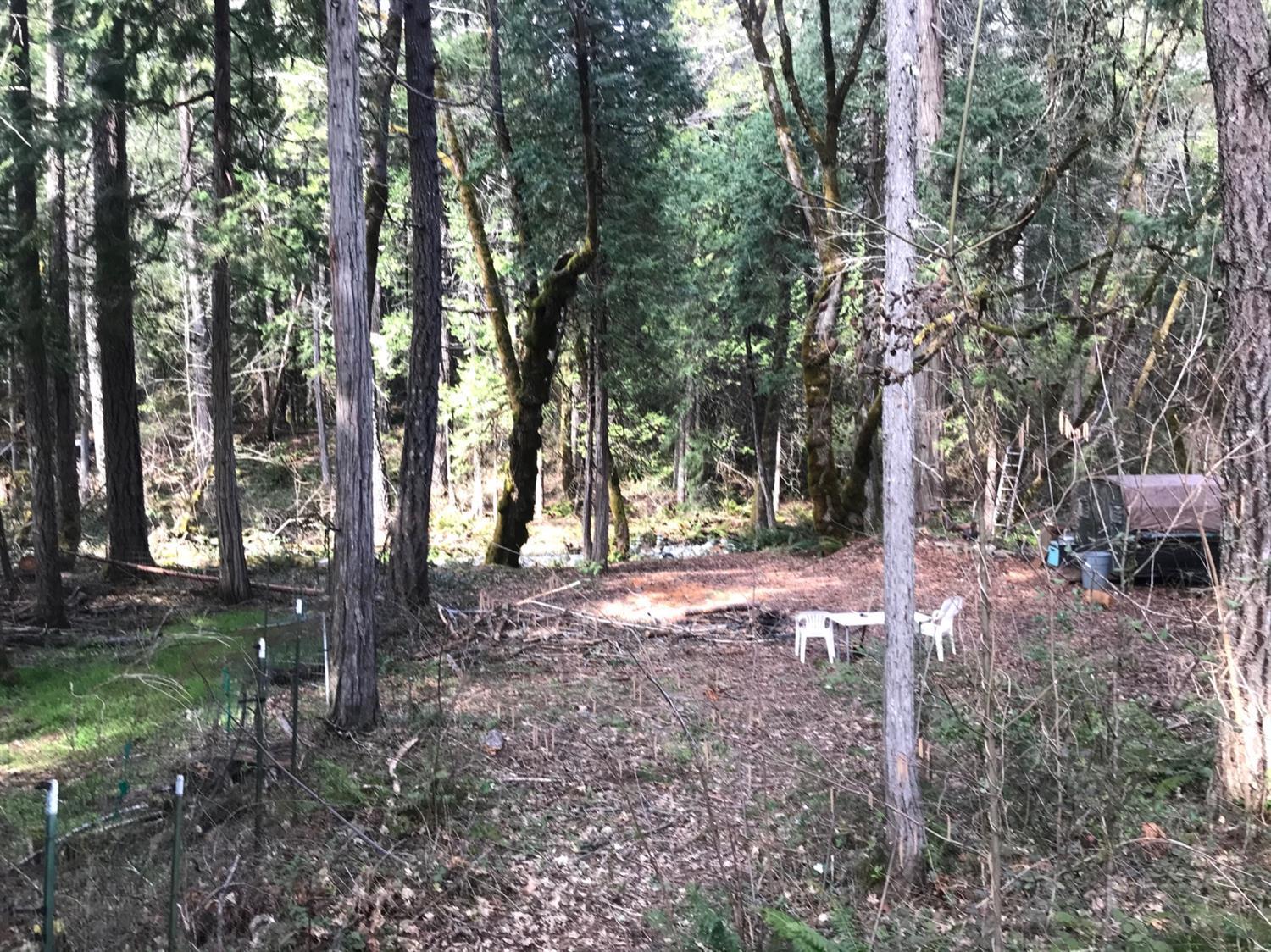 3700 Cedar Flat Road Williams, OR 97544 - Photo 15 of 18 Additional Photo