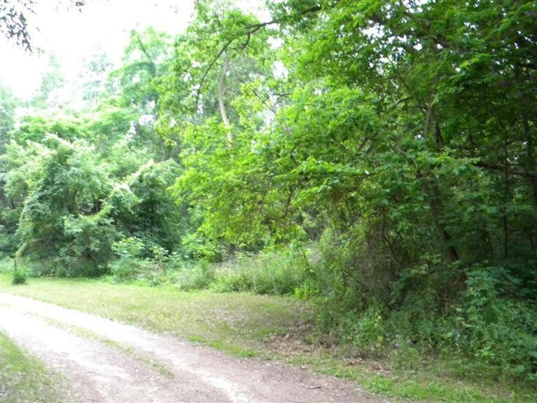18550 Sandborn Road Manchester, MI 48158 - Photo 1 of 3 Photo 1