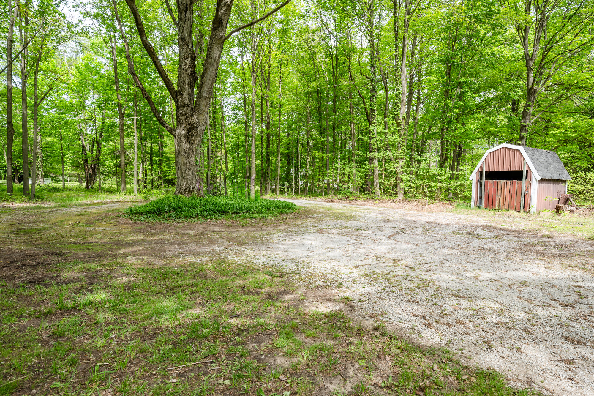 13953 Minnich Road Sawyer, MI 49125 - Photo 48 of 56 Minnisch-149