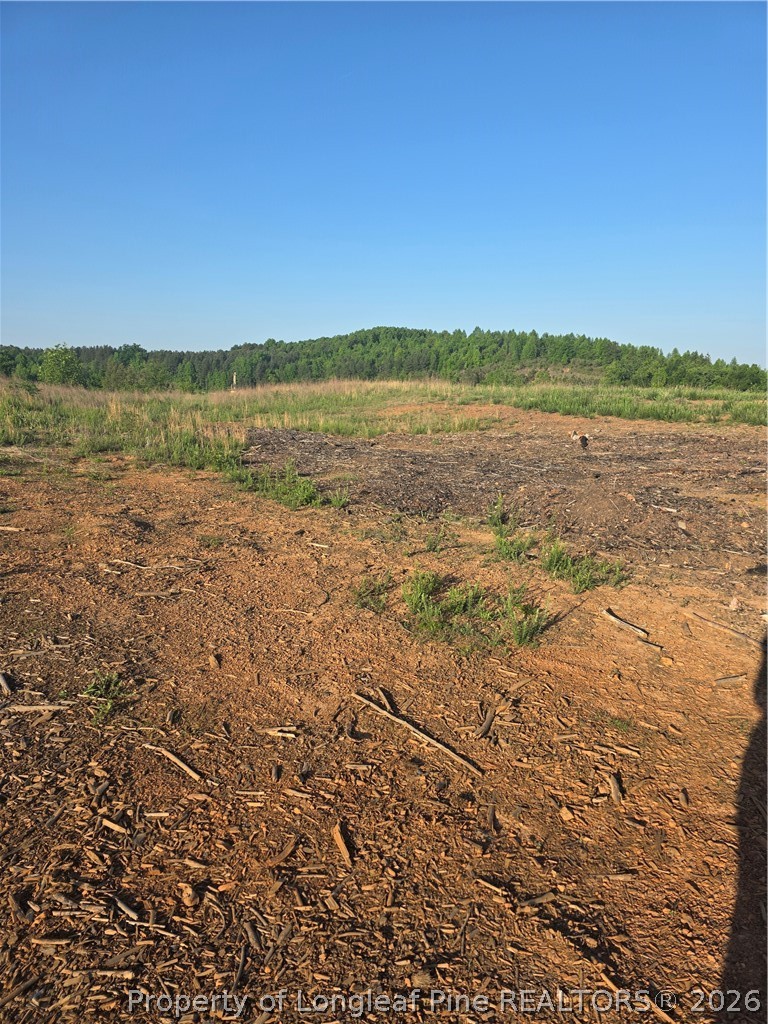 0 Skeen View Road Asheboro, NC 27205 - Photo 11 of 20 a view of an ocean beach
