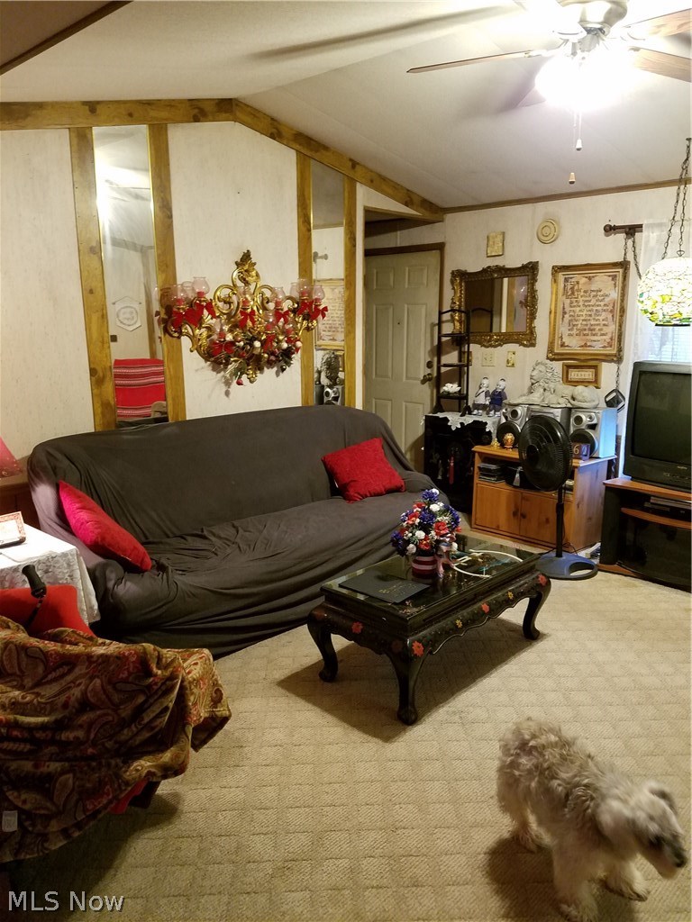20840 Jeffry Road Dexter City, OH 45727 - Photo 17 of 22