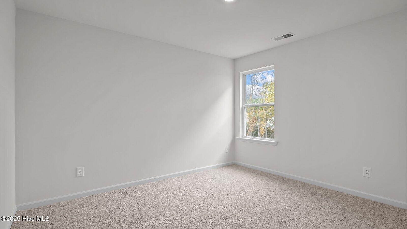 3916 Falcon Court Wilson, NC 27896 - Photo 17 of 36 35-custom-DSC05806