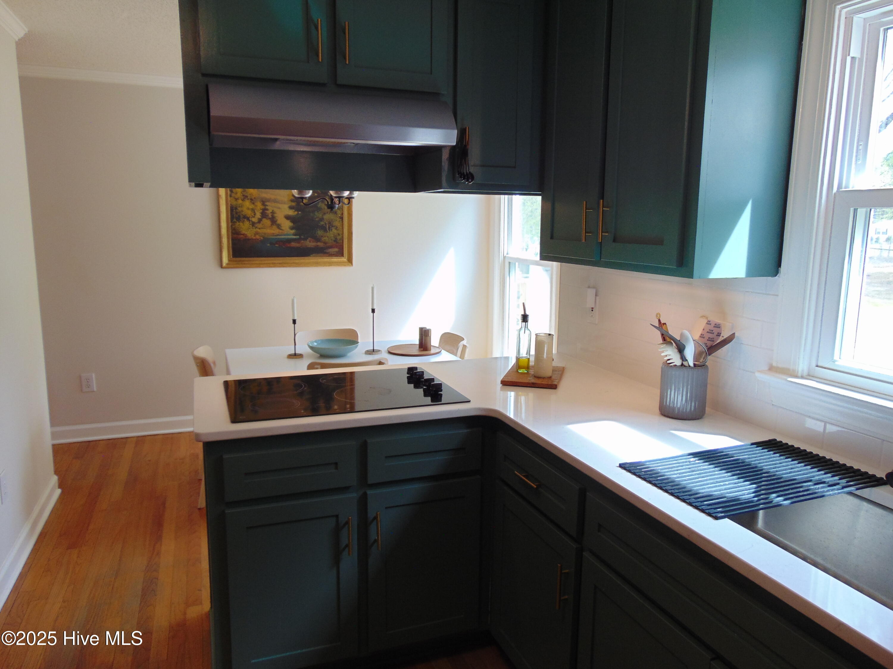 5531 Autry Road Rocky Mount, NC 27803 - Photo 76 of 87 DSC05022