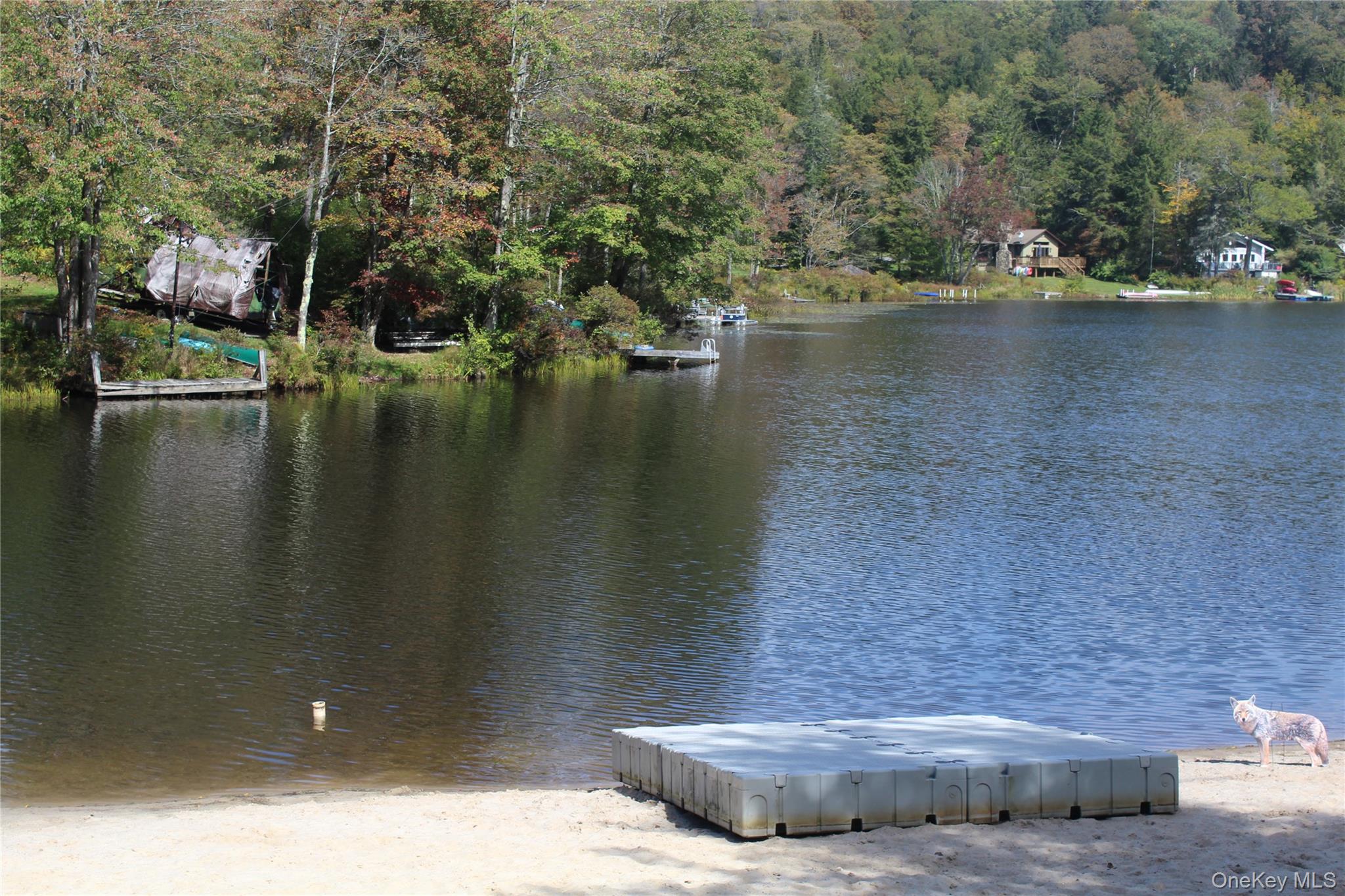 Trout Brook Road Fremont Center, NY 12736 - Photo 4 of 17 a view of lake