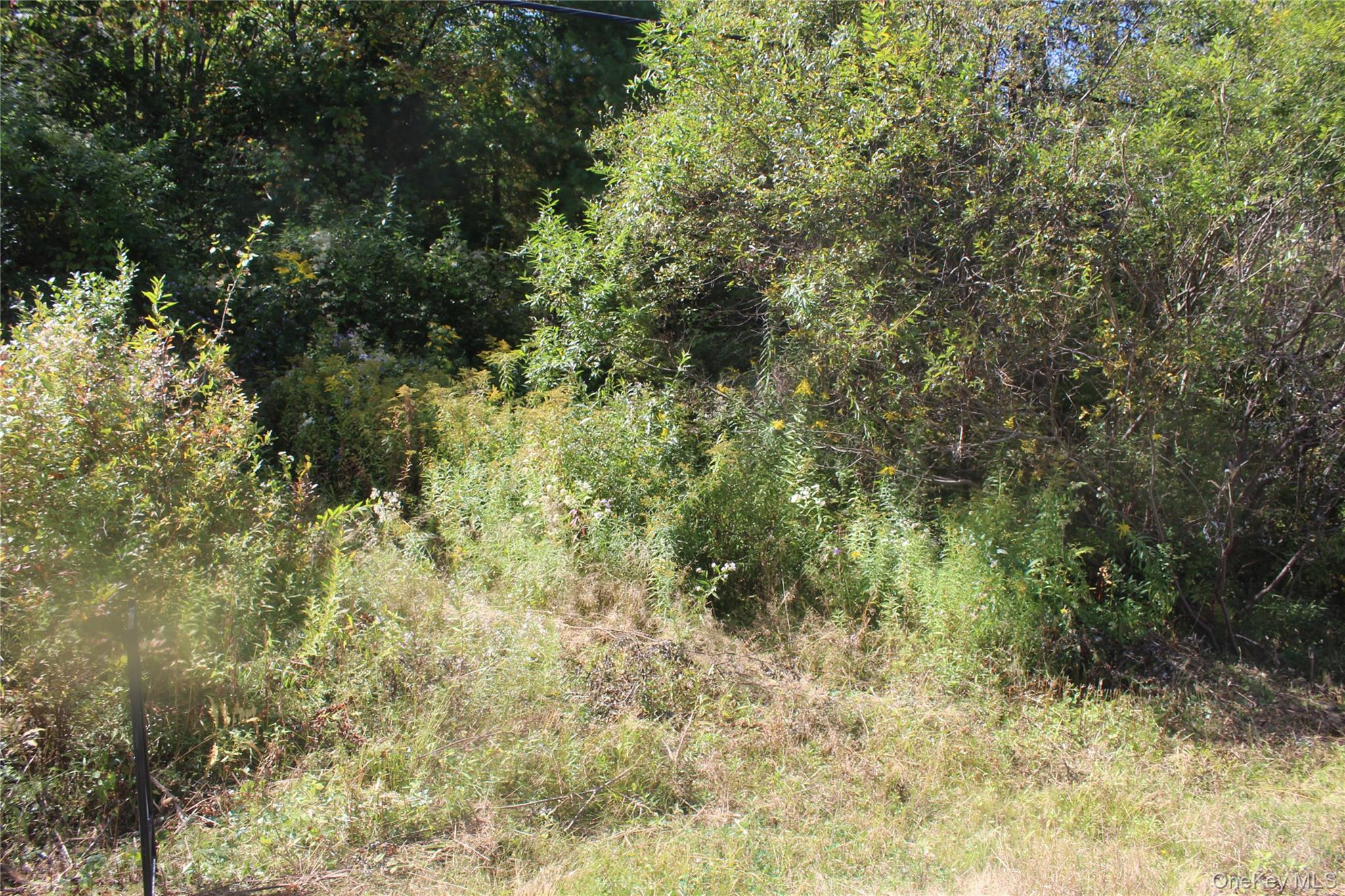 Trout Brook Road Fremont Center, NY 12736 - Photo 5 of 17 a view of a yard