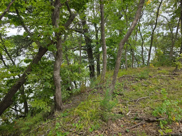 $89,900 | 16499 740th Avenue, Dassel, MN 55325